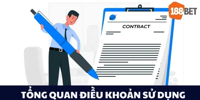 Tổng quan điều khoản sử dụng 