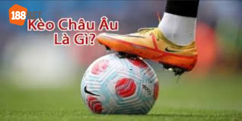 Khái niệm cơ bản về kèo châu âu